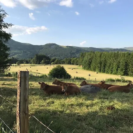 Mont-dore Duplex 35m², Balcon, Wi-fi, 6pers - Fr-1-608-156 לה מן-דור