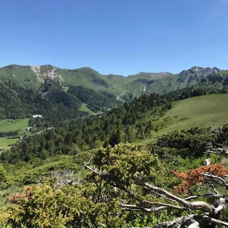 Mont-dore Duplex 35m², Balcon, Wi-fi, 6pers - Fr-1-608-156 לה מן-דור