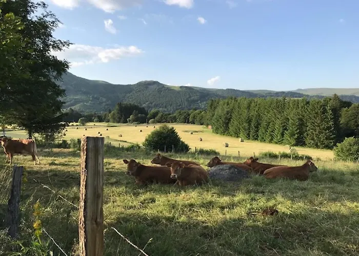 Mont-dore Duplex 35m², Balcon, Wi-fi, 6pers - Fr-1-608-156 Le Mont-Dore