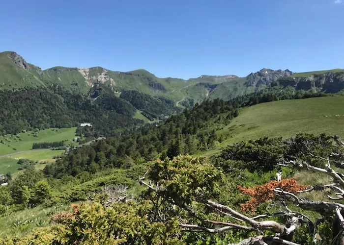 Mont-dore Duplex 35m², Balcon, Wi-fi, 6pers - Fr-1-608-156 Le Mont-Dore